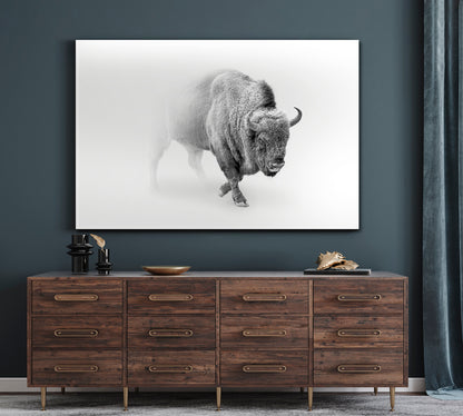 Wild Bison Buffalo Walking Out of The Mist Animals Canvas Print Artesty   