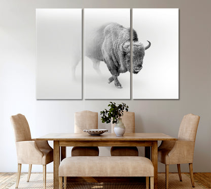 Wild Bison Buffalo Walking Out of The Mist Animals Canvas Print Artesty   